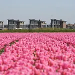 Het Strandleven 4 Apartamento *