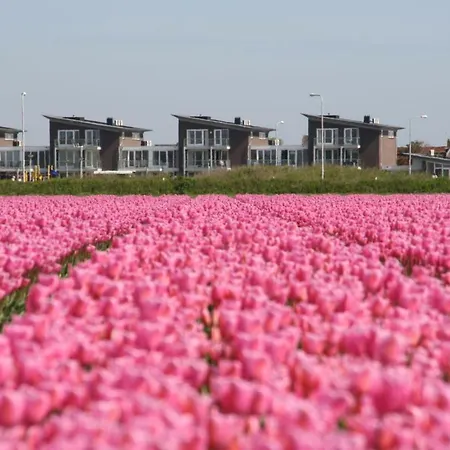 Het Strandleven 4 Apartmán *
