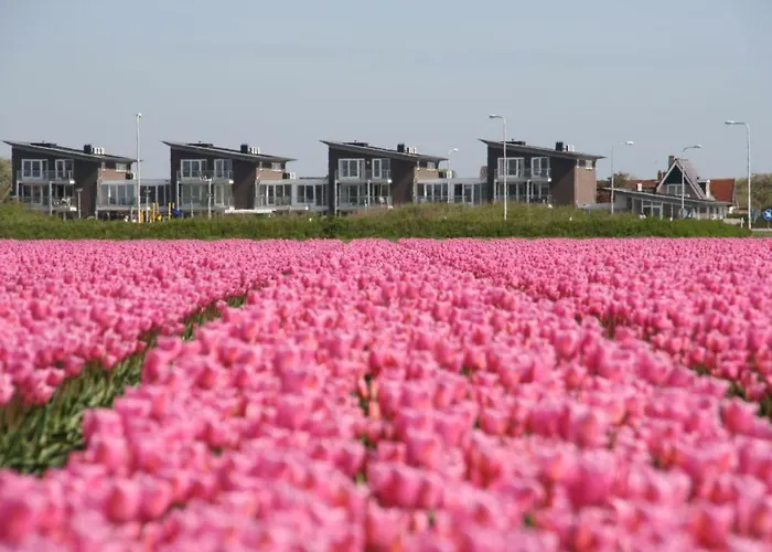 Het Strandleven 4 Apartment *